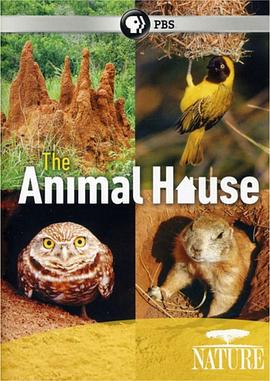 自然世界：<span style='color:red'>动</span>物之家 The Natural World: Animal House