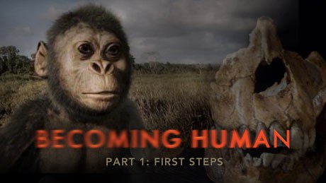 人类<span style='color:red'>进化</span>1：混沌初开 Becoming Human: First Steps