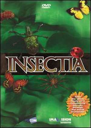 昆虫王国 第一季 Insectia Season 1