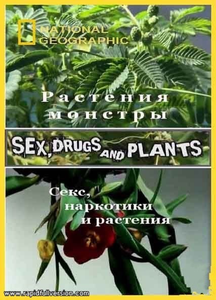 国家地理 植物的奥妙世界 National Geographic Channel: Sex, <span style='color:red'>Drugs</span> And Plants