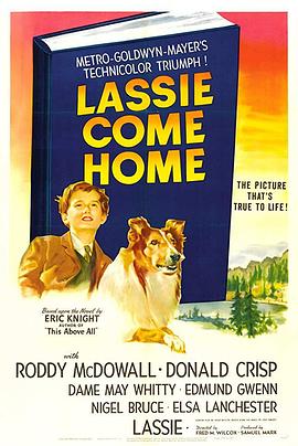 灵犬莱西 Lassie Come Home