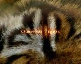 自然世界：老虎女王 The Natural World: Queen of Tigers