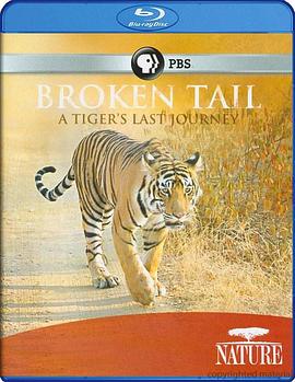 老虎“断尾”的最后旅程 Nature: Broken Tail A Tiger's Last Journey