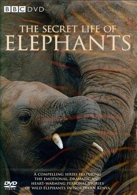 大象的秘密生活 The Secret Life of Elephants