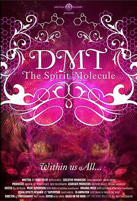 二甲基色胺：精神分子 DMT: The Spirit Molecule