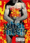 best of red hot chili peppers what hits!?/红<span style='color:red'>辣椒</span>乐队精选集