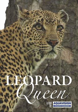 花豹<span style='color:red'>女</span>王 Leopard Queen