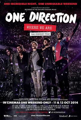 单向乐队：我们所到之处 One Direction: Where We Are - The Concert Film