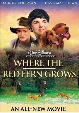 红色羊齿草的故乡 Where the Red Fern Grows