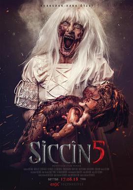 西辛5 Siccin 5
