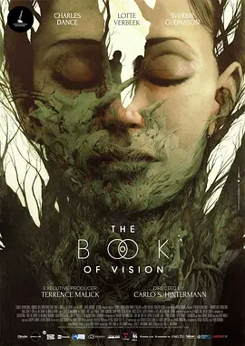 幻觉之书 The Book of Vision