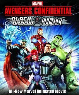<span style='color:red'>机</span>密<span style='color:red'>复</span>仇者：黑寡妇与惩罚者 Marvel Avengers Confidential: Black Widow & Punisher