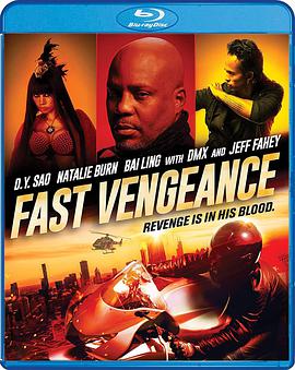 极速复仇 Fast <span style='color:red'>Vengeance</span>