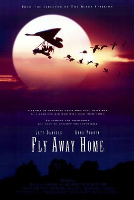 <span style='color:red'>伴你</span>高飞 Fly Away Home