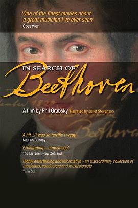 寻找贝多芬 In Search of Beethoven