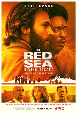红海潜水俱乐部 The Red <span style='color:red'>Sea</span> Diving <span style='color:red'>Resort</span>