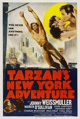 泰山纽约冒险 Tarzan's New York Adventure