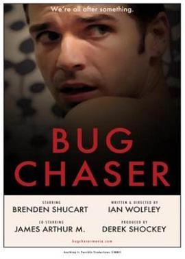 飞蛾 Bug Chaser