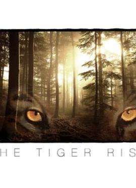 高飞 The Tiger Rising