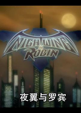 夜翼与罗宾 Nightwing and <span style='color:red'>Robin</span>