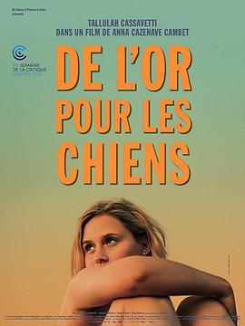 夏日金犬 De l’or pour les chiens