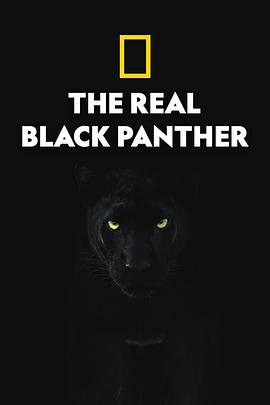 真黑豹无双 The Real Black Panther