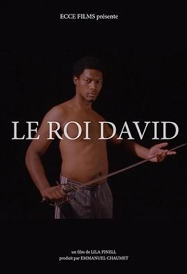 <span style='color:red'>大</span><span style='color:red'>卫</span>王 Le Roi David
