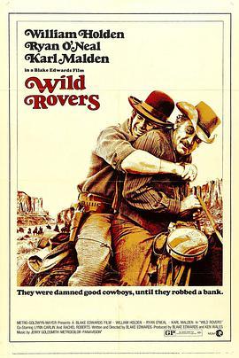 <span style='color:red'>戎</span>马闯天关 Wild Rovers