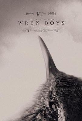鹪鹩男孩 Wren Boys