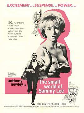 黑社会小流氓 The Small World Of Sammy Lee