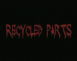 肢离魄碎 Recycled Parts