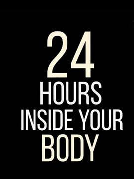 24小时人体大<span style='color:red'>揭密</span> 24 Hours Inside Your Body