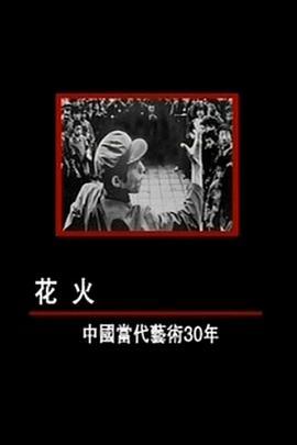花火——中国当代艺术30年