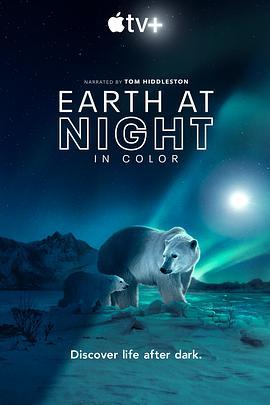 <span style='color:red'>夜色</span>中的地球 第二季 Earth at Night in Color Season 2