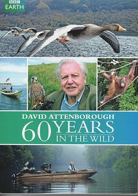 爱丁保罗夫：自然探索60年 Attenborough: 60 Years in the Wild