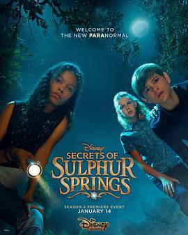 硫磺泉镇的秘密 第二季 Secrets of Sulphur Springs Season 2