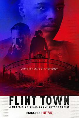 弗林特警局 Flint Town