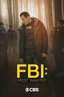联邦调查局：通缉要犯 第二季 FBI: Most Wanted Season 2