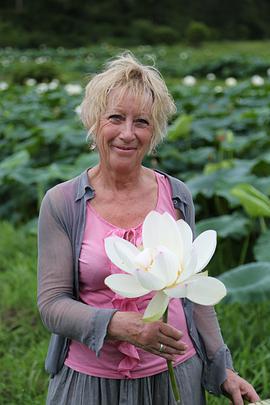 <span style='color:red'>卡</span><span style='color:red'>罗</span>尔·克<span style='color:red'>莱</span>恩的植物巡礼 Carol Klein's Plant Odysseys