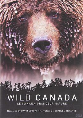 野性加拿大 第一季 Wild <span style='color:red'>Canada</span> Season 1