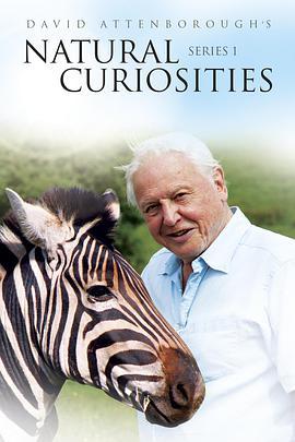 自然趣闻 第一季 David Attenborough's Natural Curiosities Season 1