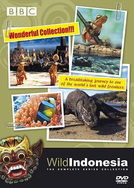 野性印尼 Wild Indonesia