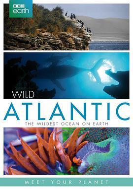 大西洋：地球最狂野的海洋 Atlantic: The Wildest Ocean on Earth