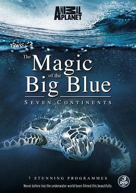 奇幻蔚蓝海 Magic of the Big Blue