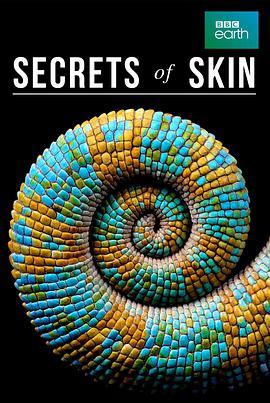 皮肤的奥秘 第一季 Secrets of Skin Season 1