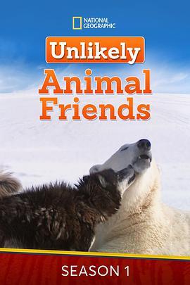 不可思议的好朋友 第一季 Unlikely Animal Friends Season 1