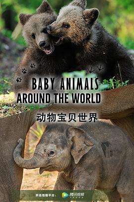 动物宝贝世界 Baby Animals Around the World