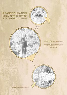 Transfiguration Slow Approximation