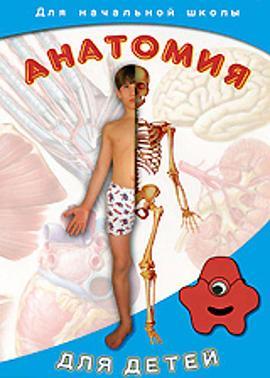 <span style='color:red'>解剖</span>男孩 Анатомия для детей
