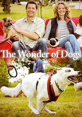 狗狗的奇妙世界 第一季 the wonder of dogs Season 1